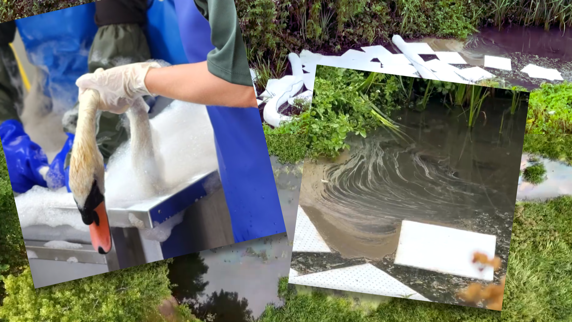 Bank of Ireland Oil Spill in Kilbogget Park Could Cost Hundreds of Thousands — Public Deserves Full Transparency, Says Cllr Dave O’Keeffe